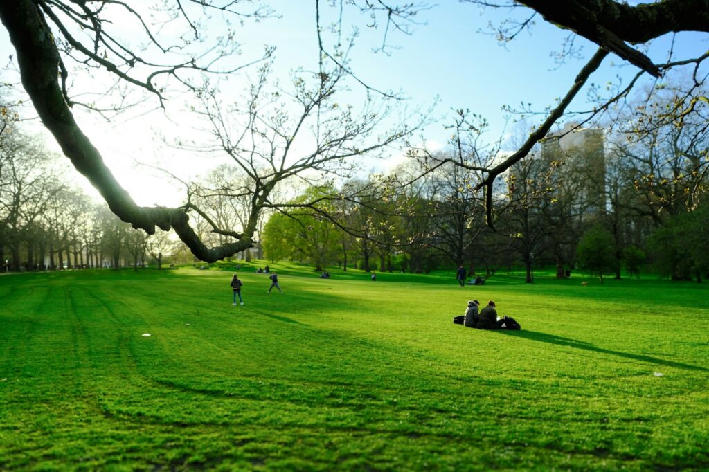A group of people sitting on top of a lush green field